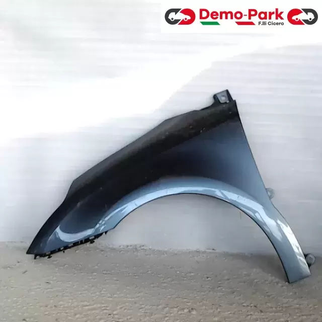 PARAFANGO SX CitroЁn C4  0