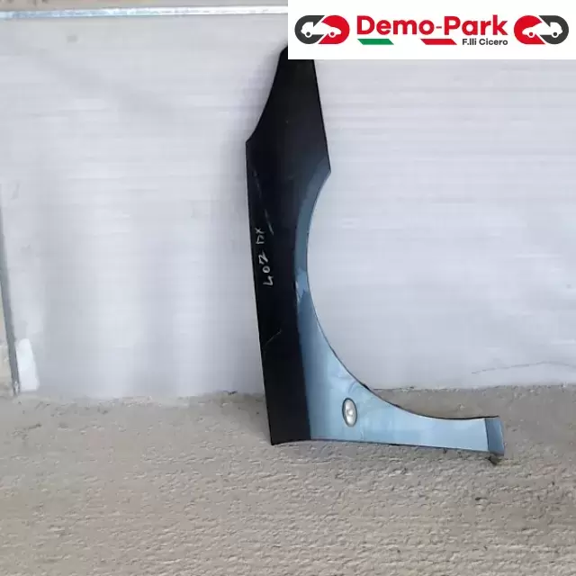 PARAFANGO DX Peugeot 407  0