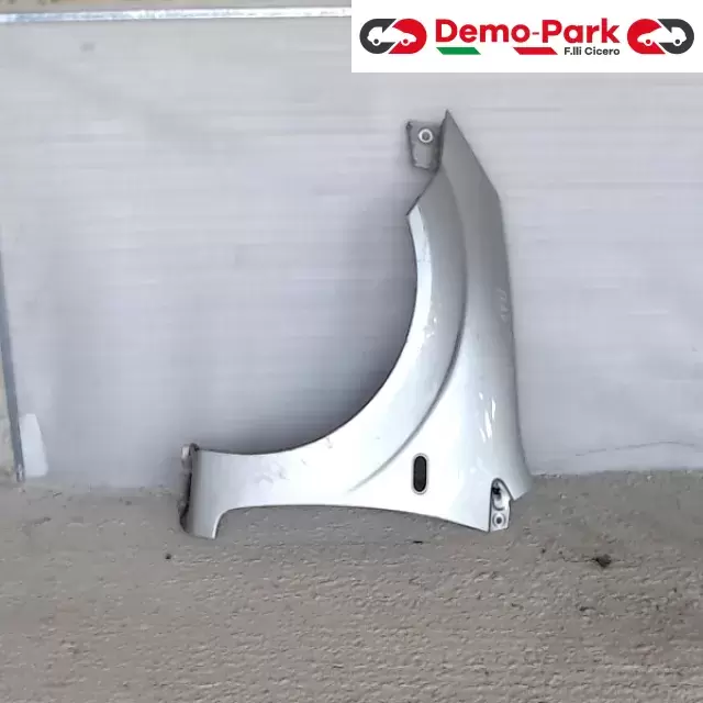 PARAFANGO SX Ford FIESTA  0