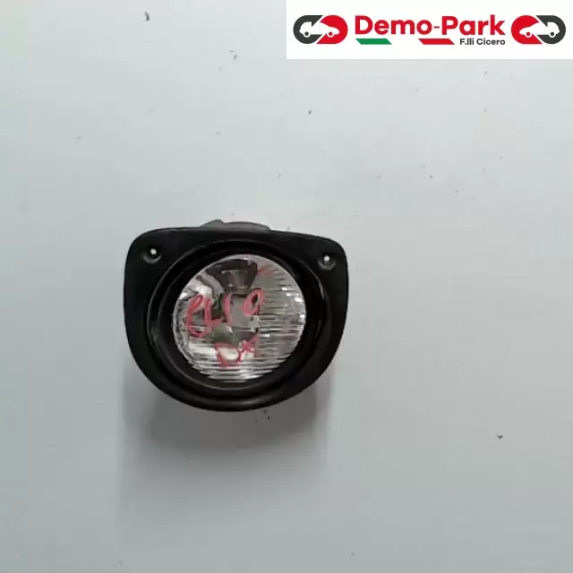 FENDINEBBIA DX Renault CLIO - III SERIE  0