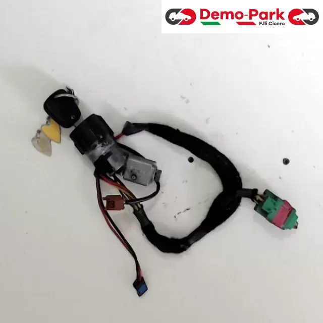 BLOCCASTERZO Peugeot 307  0