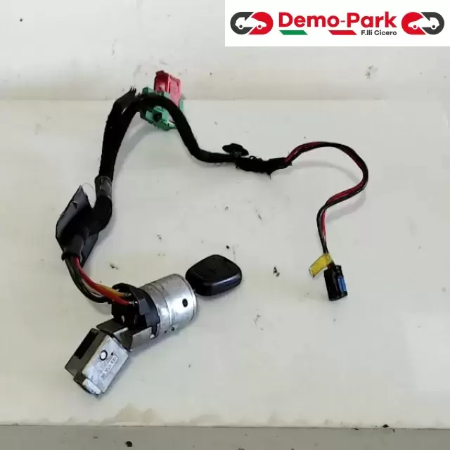 BLOCCASTERZO  Peugeot 307  1