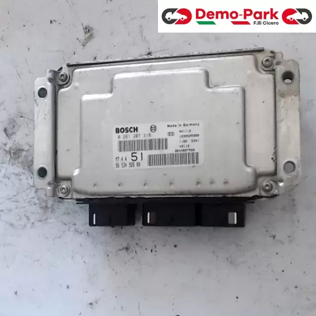 CENTRALINA MOTORE CitroЁn XSARA PICASSO 1.6 BOSCH 0 261 207 318  M7.4.4  96 534 925 80 0