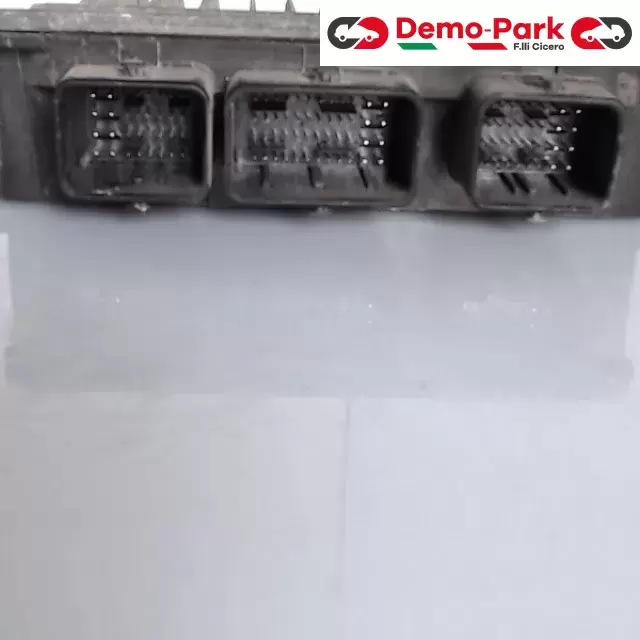 CENTRALINA MOTORE Renault MEGANE RO410B024B  81044B 1