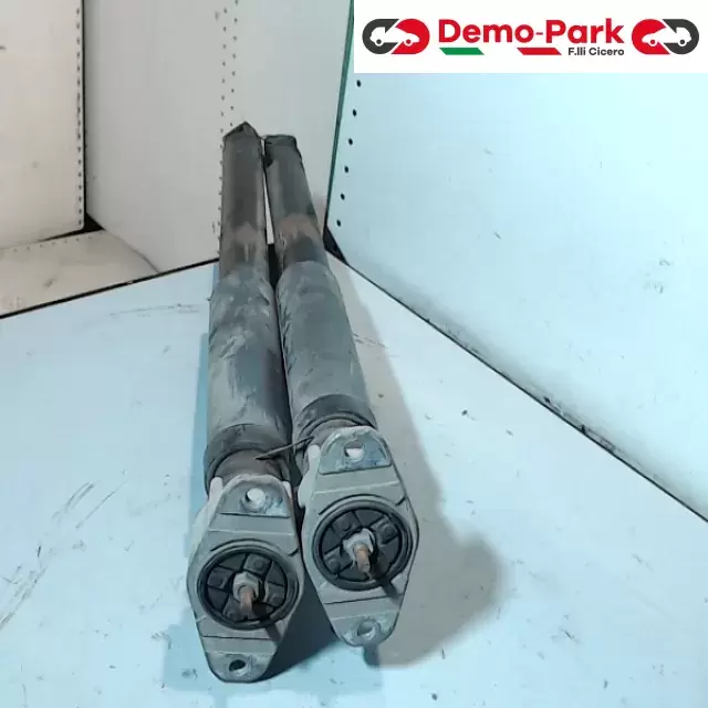 AMMORTIZZATORI POSTERIORI  Ford FOCUS 1.8 TDCI 4M51-18080-PAE 0