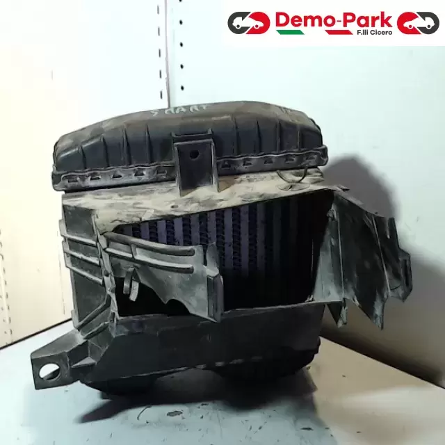 RADIATORE Smart FORTWO 450 000 0929 V003 1