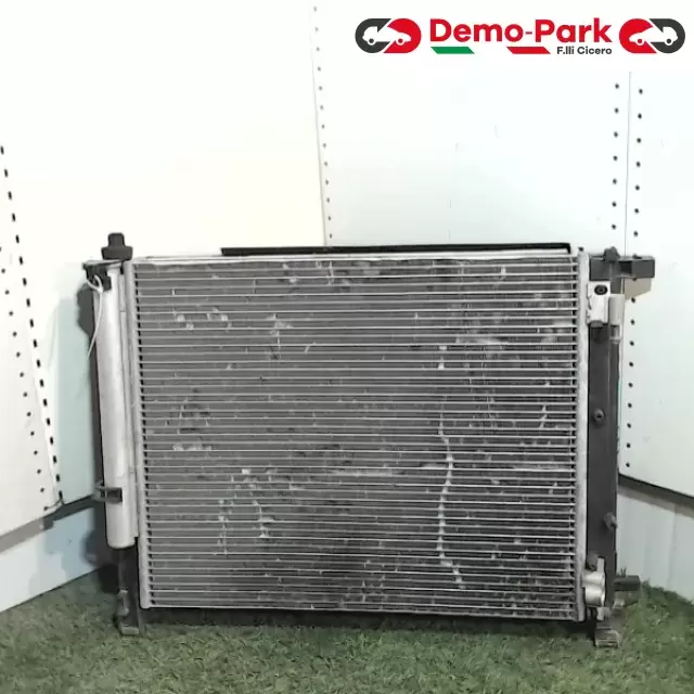 GRUPPO RADIATORE  Renault CLIO IV SERIE 214818009R 0