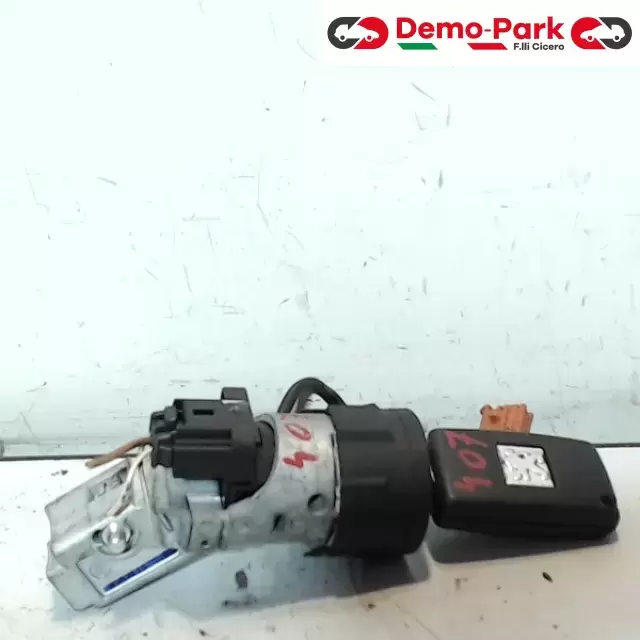 BLOCCASTERZO  Peugeot 407 N0502455 3  N0502073 1