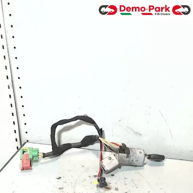 BLOCCASTERZO  Peugeot 307 1.6 HDI 38.353.100 0