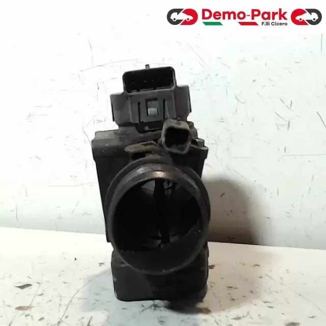 CORPO FARFALLATO CITROEN-PEUGEOT Peugeot 307 1.6 HDI 25365220 2