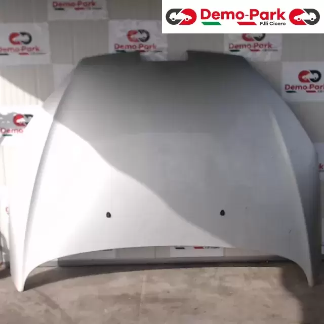 COFANO ANTERIORE Peugeot 407  0