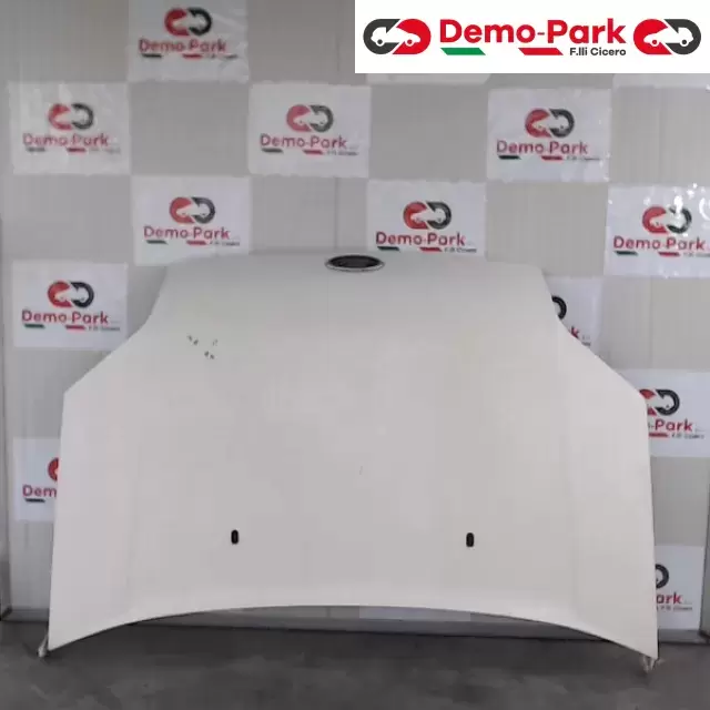 COFANO ANTERIORE  Ford TRANSIT CONNECT T200  0