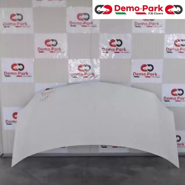 COFANO ANTERIORE Renault KANGOO 1.5 DCI  0