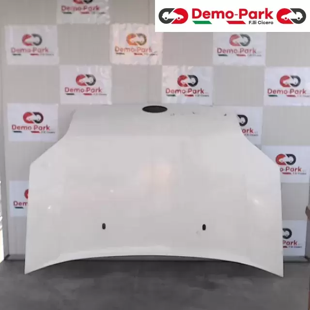 COFANO ANTERIORE Ford TRANSIT CONNECT 1.8 TDCI  0