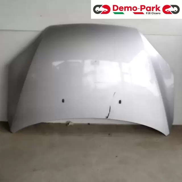 COFANO ANT. FORD FOCUS Ford FOCUS  0