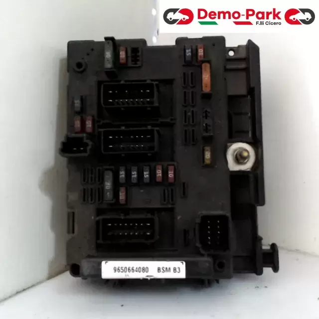 BODY COMPUTER Peugeot 206 9650664080 0