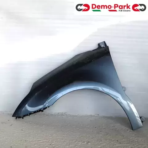 PARAFANGO SX CitroЁn C4  0