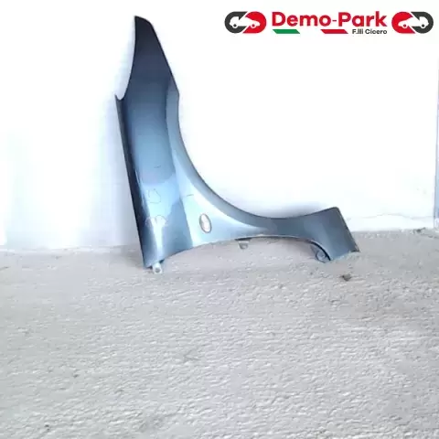 PARAFANGO DX Peugeot 307  0