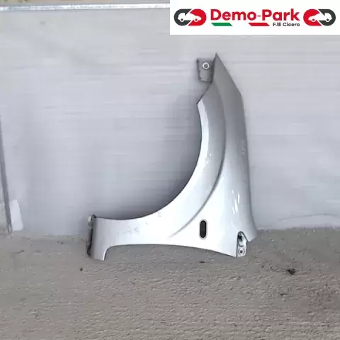 PARAFANGO SX Ford FIESTA  0