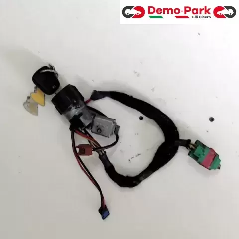 BLOCCASTERZO Peugeot 307  0