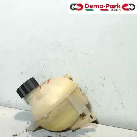 VASCHETTA RADIATORE  Peugeot 307  0