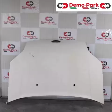 COFANO ANTERIORE  Ford TRANSIT CONNECT T200  0