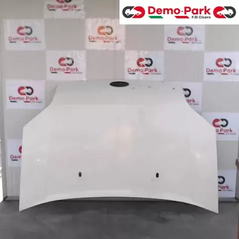 COFANO ANTERIORE Ford TRANSIT CONNECT 1.8 TDCI  0