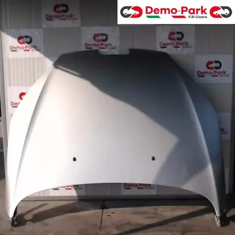 COFANO ANTERIORE  Peugeot 407  0