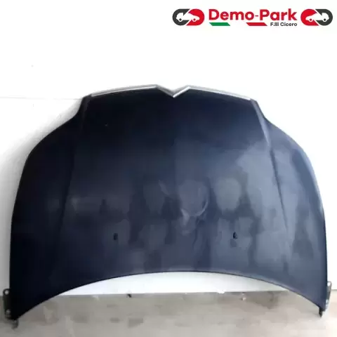 COFANO ANT. CITROEN C4 CitroЁn C4  0