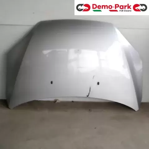 COFANO ANT. FORD FOCUS Ford FOCUS  0