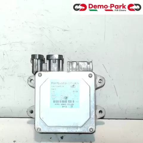 CENTRALINA PIANTONE STERZO Peugeot 1007 1.4 HDI 96 554 603 80 0